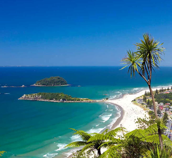 beach and ocean