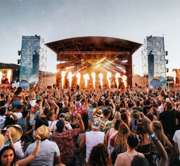 bay-dreams-pacific coast lodge and backpackers - Tauranga festivals