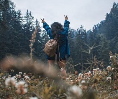 gypsy traveller.jpg